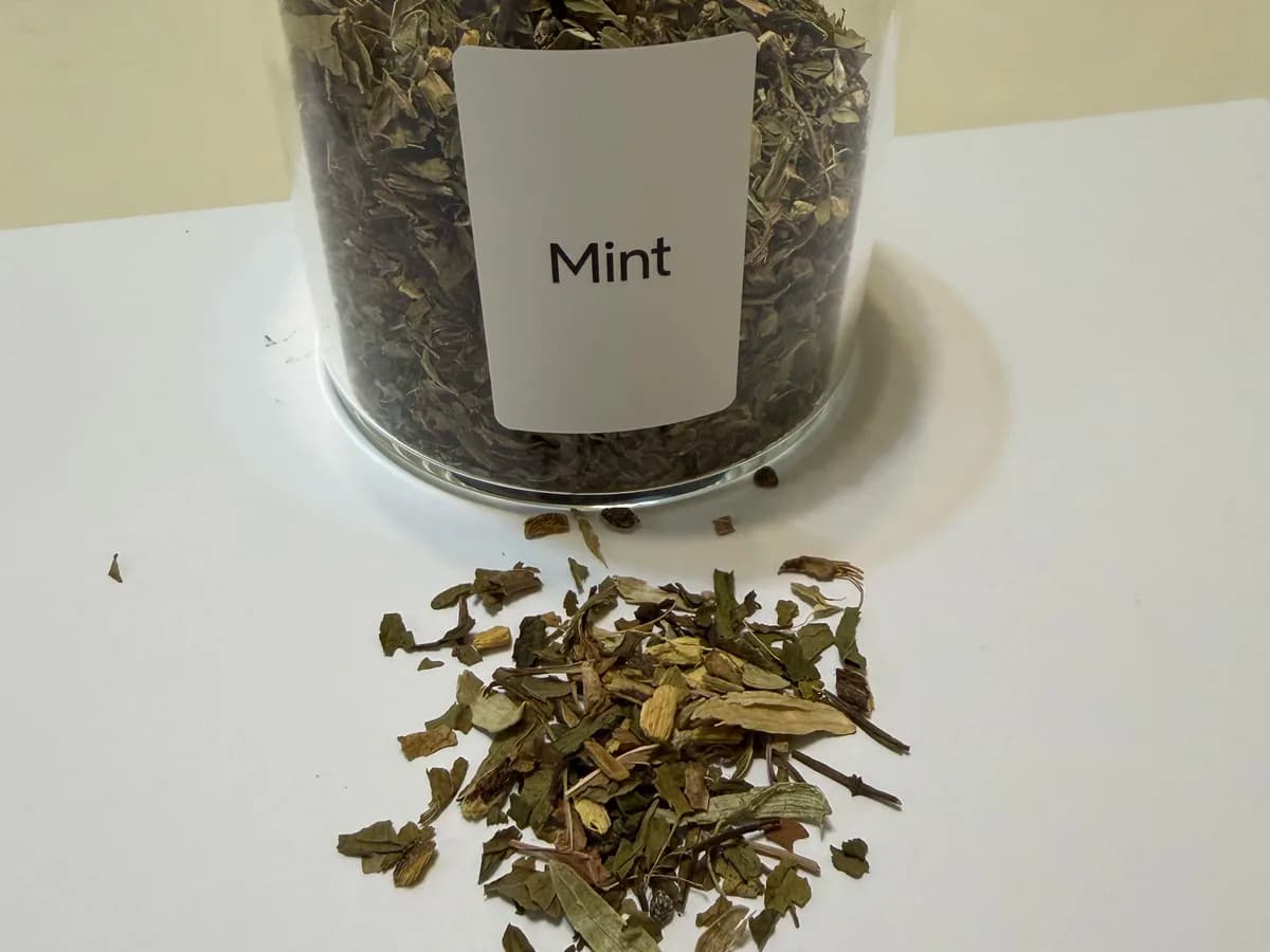 Cup of mint herbal tea