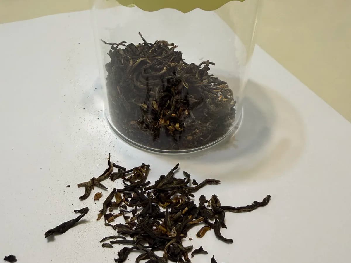 Cup of Yunnan black tea